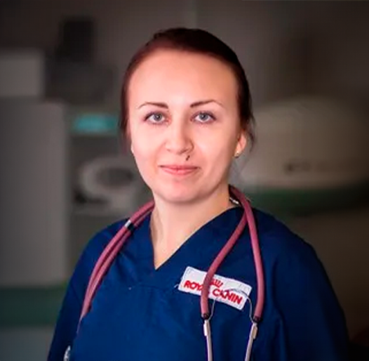 Ворончихина Ирина Сергеевна